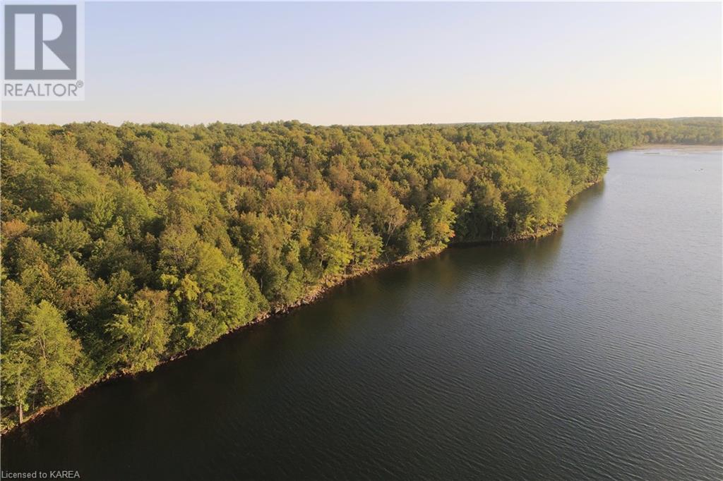 Listing 40395438 - Large Photo # 20