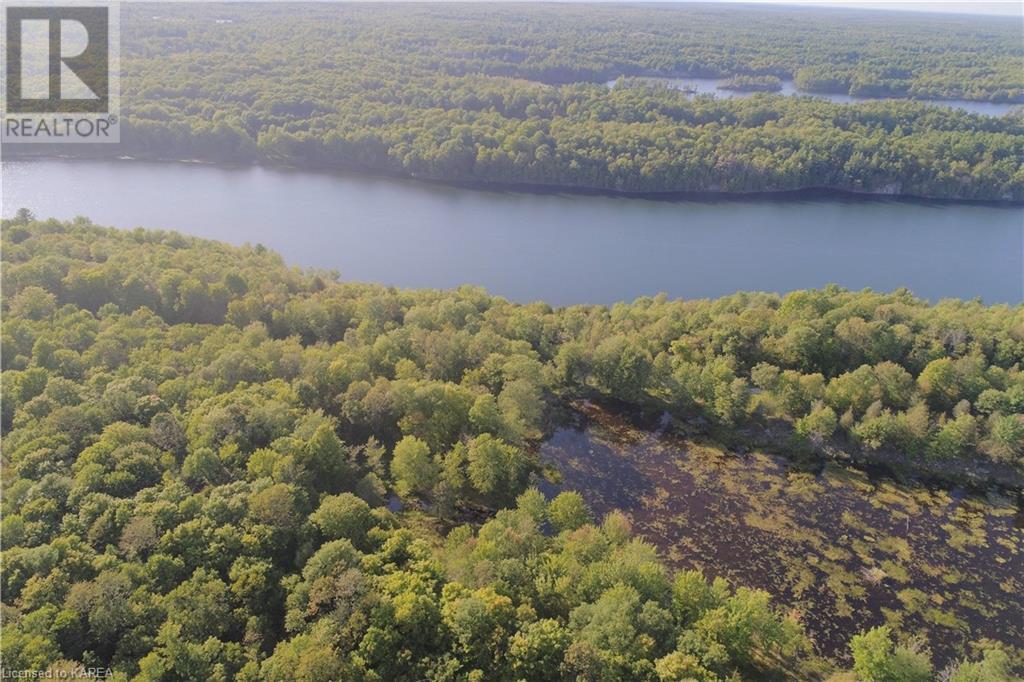 Listing 40395438 - Large Photo # 4
