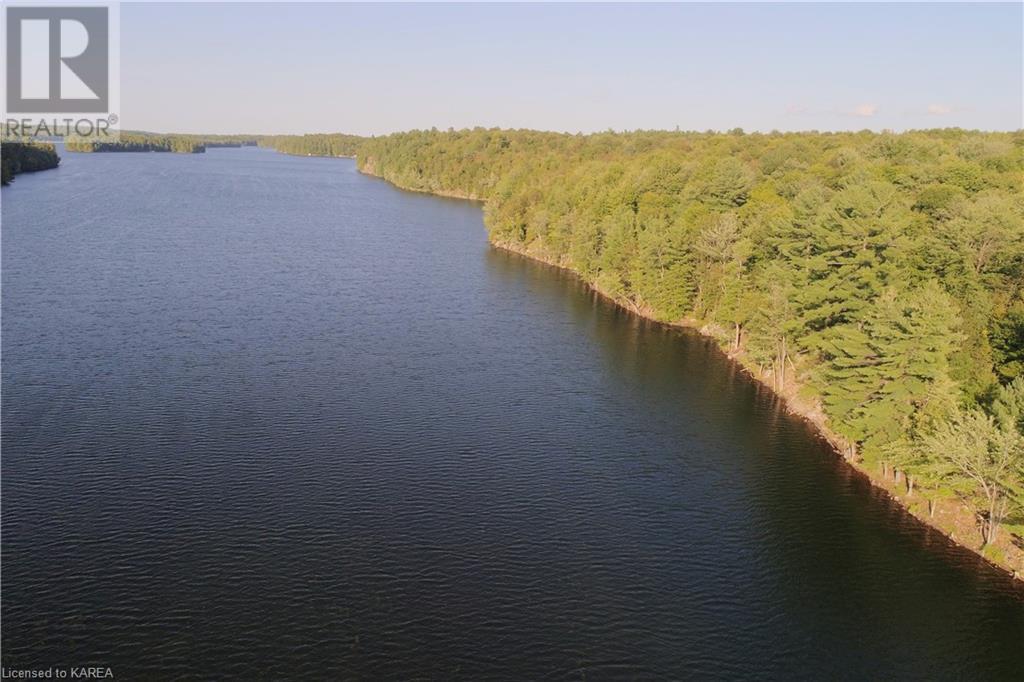 Listing 40395438 - Large Photo # 7