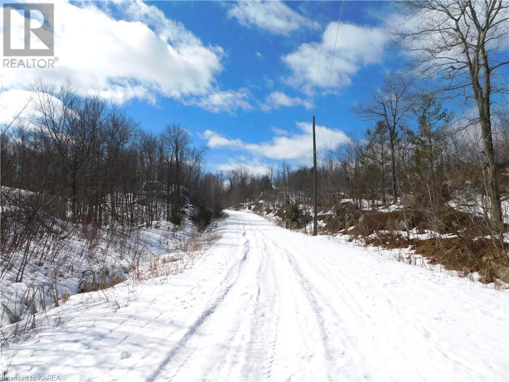 Listing 40395438 - Large Photo # 24