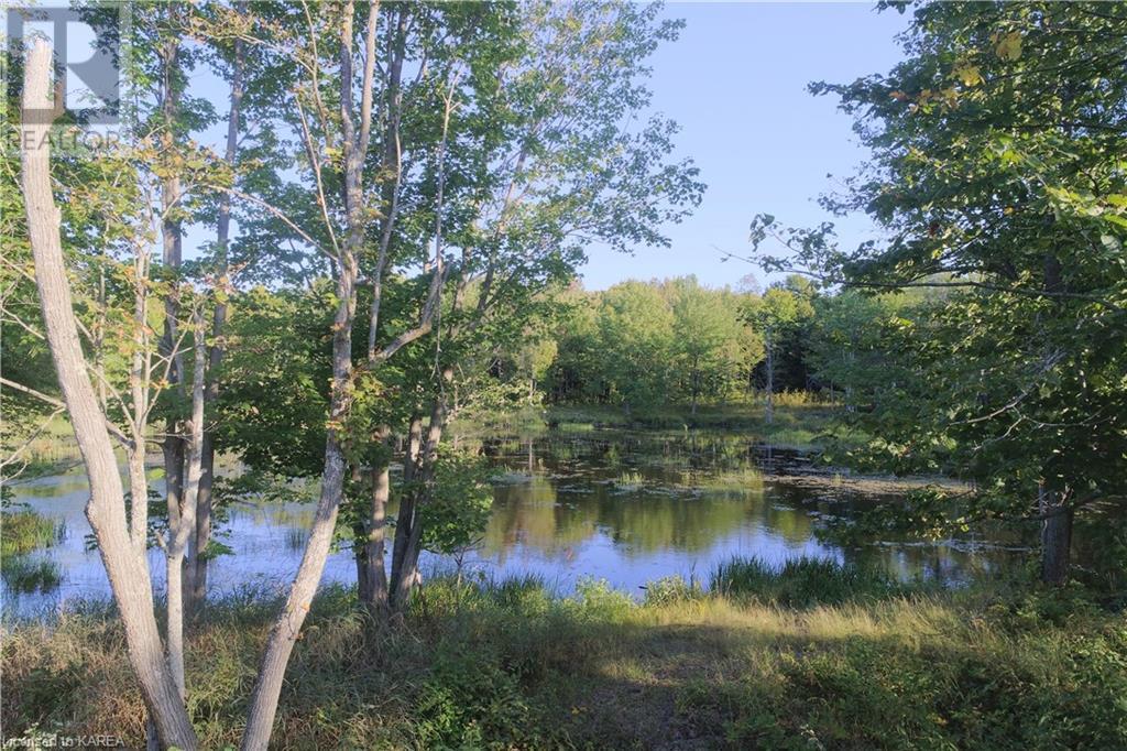Listing 40395438 - Large Photo # 22