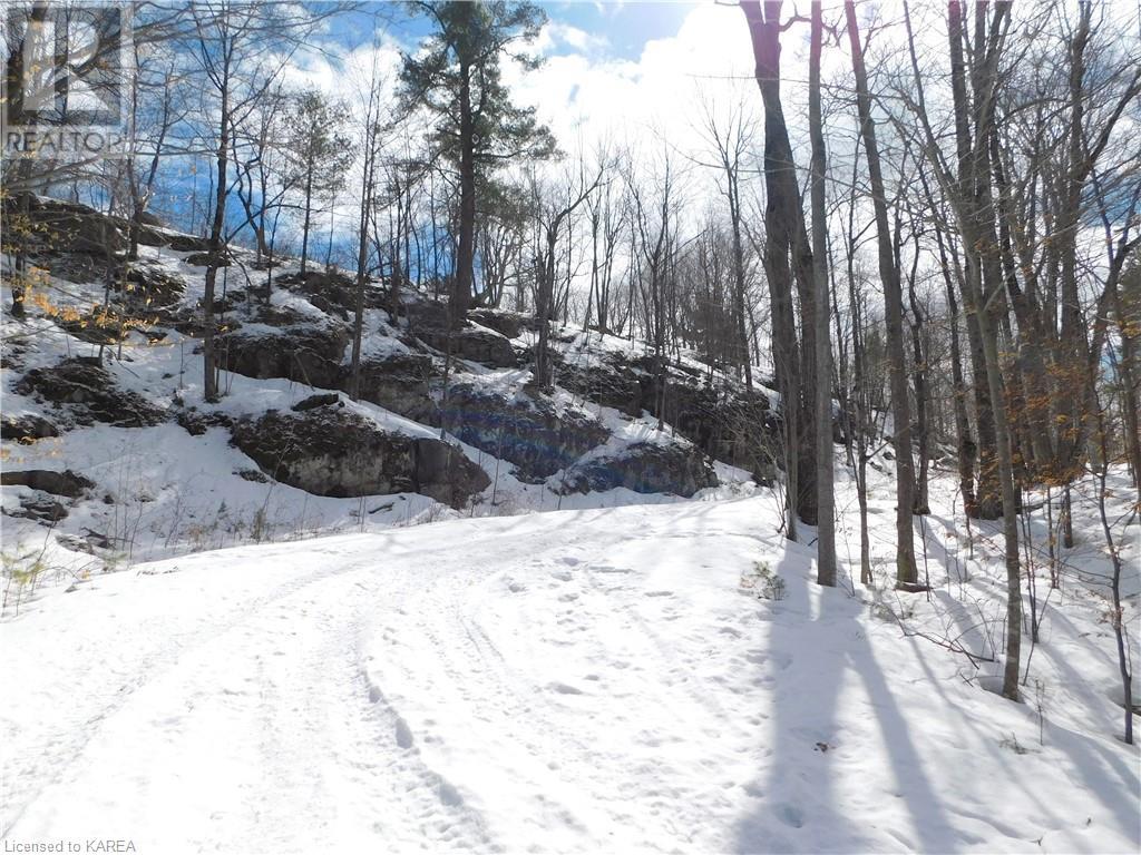 Listing 40395438 - Large Photo # 27