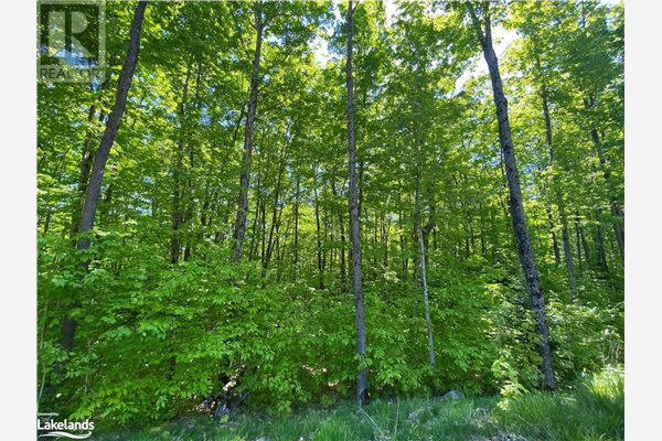LOT 11 MILLIES Way, Burks Falls