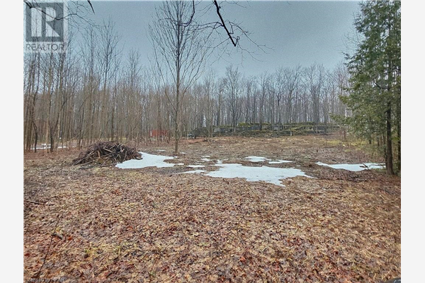 PT LT 25 CONCESSION RD 24 Road, Georgian Bluffs