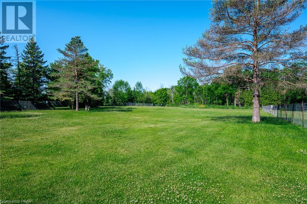 Listing 40400064 - Large Photo # 22