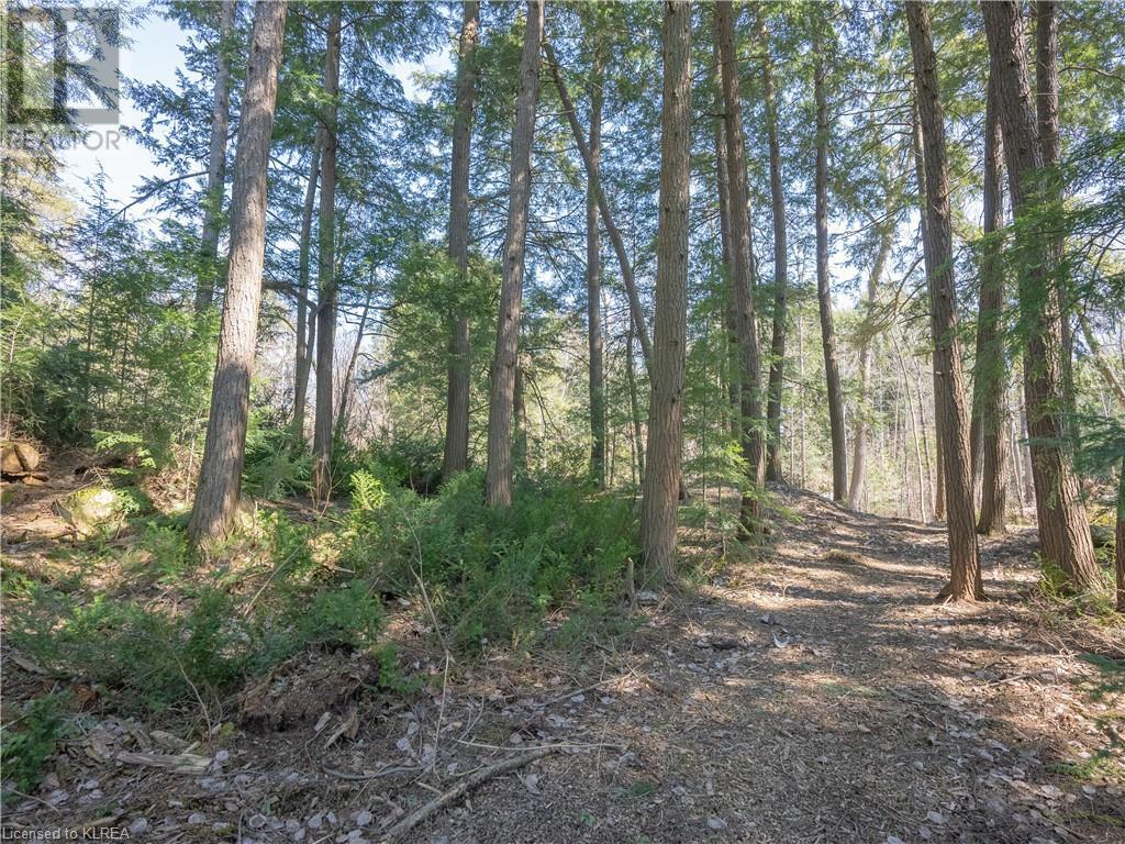 Listing 40400154 - Large Photo # 7