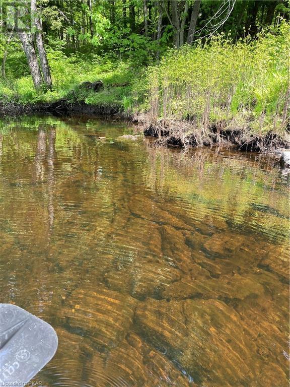 00 BLACK RIVER Road