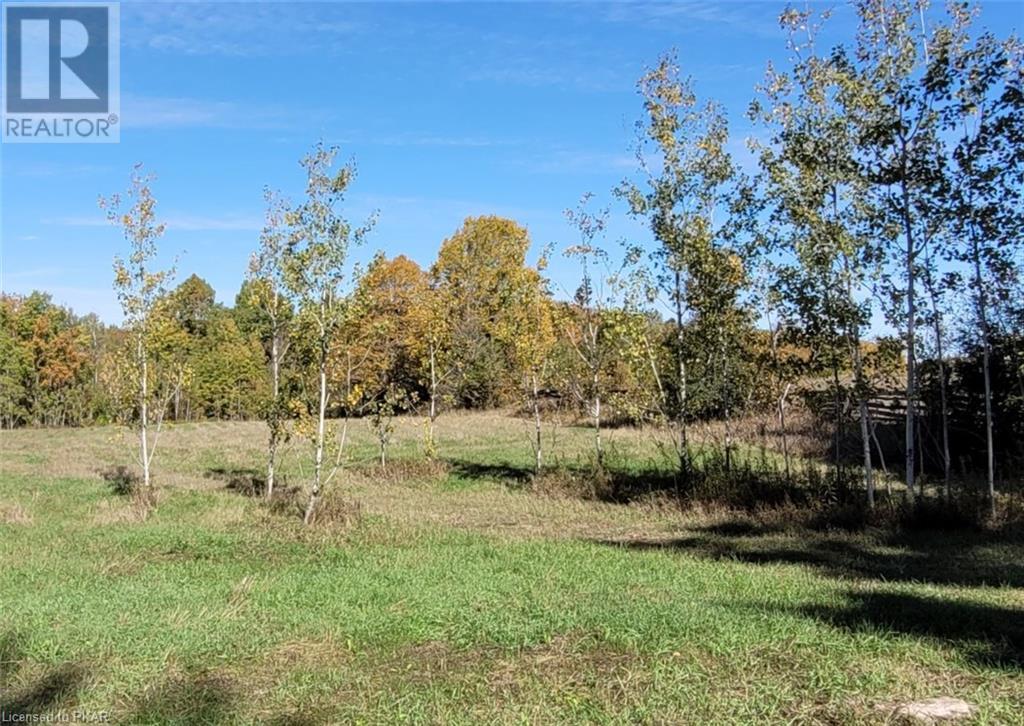 Listing 40403100 - Large Photo # 3