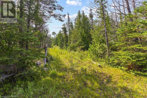 205 EAST Road, Northern Bruce Peninsula