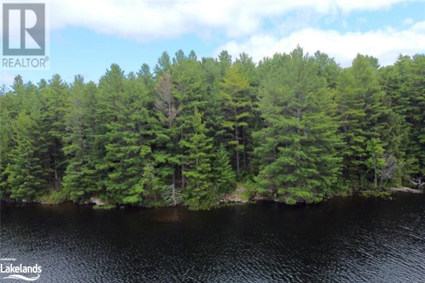 0 BRANSON Lane, Haliburton