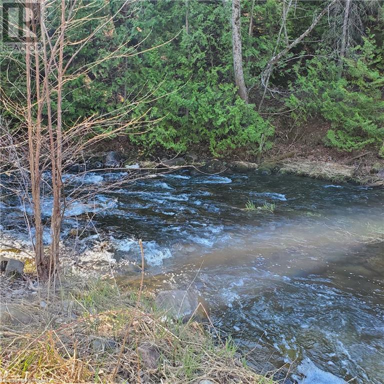 Listing 40407164 - Large Photo # 6