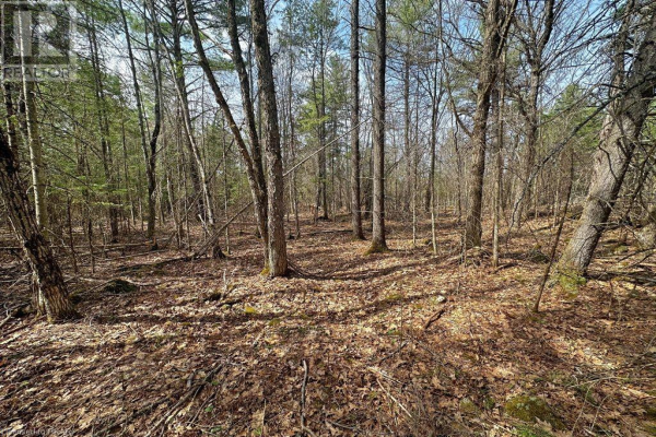 7144 HIGHWAY 28, Youngs Point
