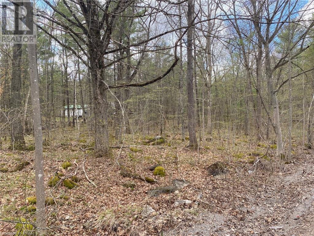 Listing 40408170 - Large Photo # 2