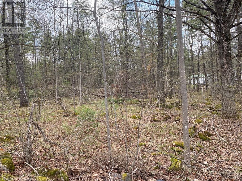 Listing 40408170 - Large Photo # 1