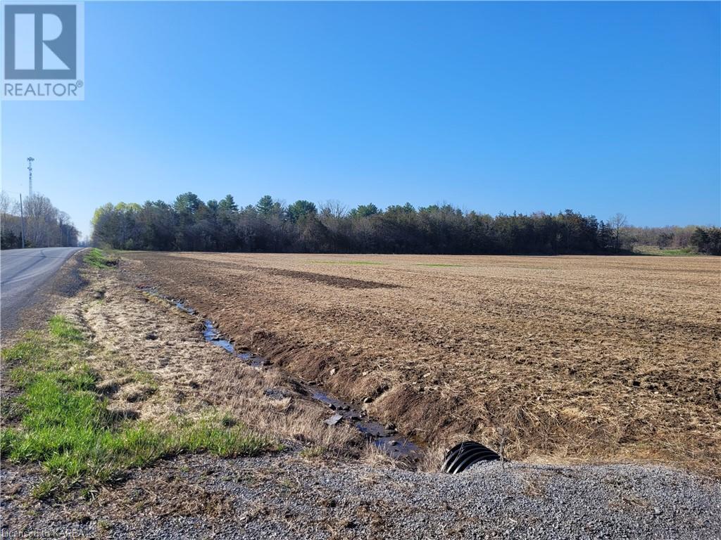 Listing 40410173 - Large Photo # 2