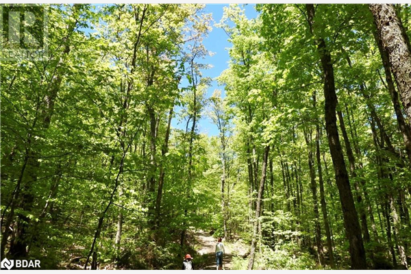 1587 ALSOP Road, Haliburton