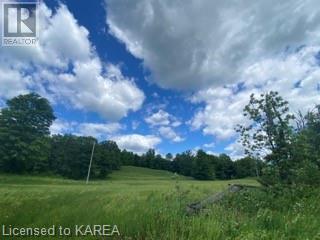 Listing 40412552 - Large Photo # 39