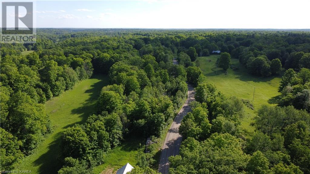 Listing 40412592 - Large Photo # 2