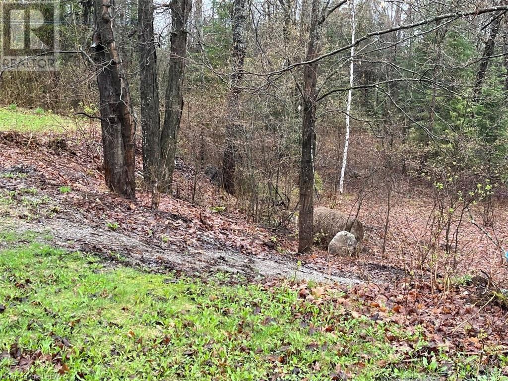 Listing 40412895 - Large Photo # 8