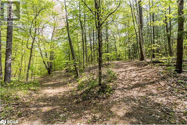 358 SHANTY BAY Road, Oro-Medonte
