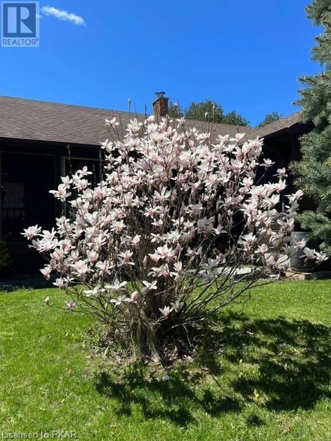 Listing 40413108 - Large Photo # 40