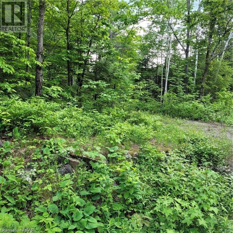 Listing 40413742 - Large Photo # 25