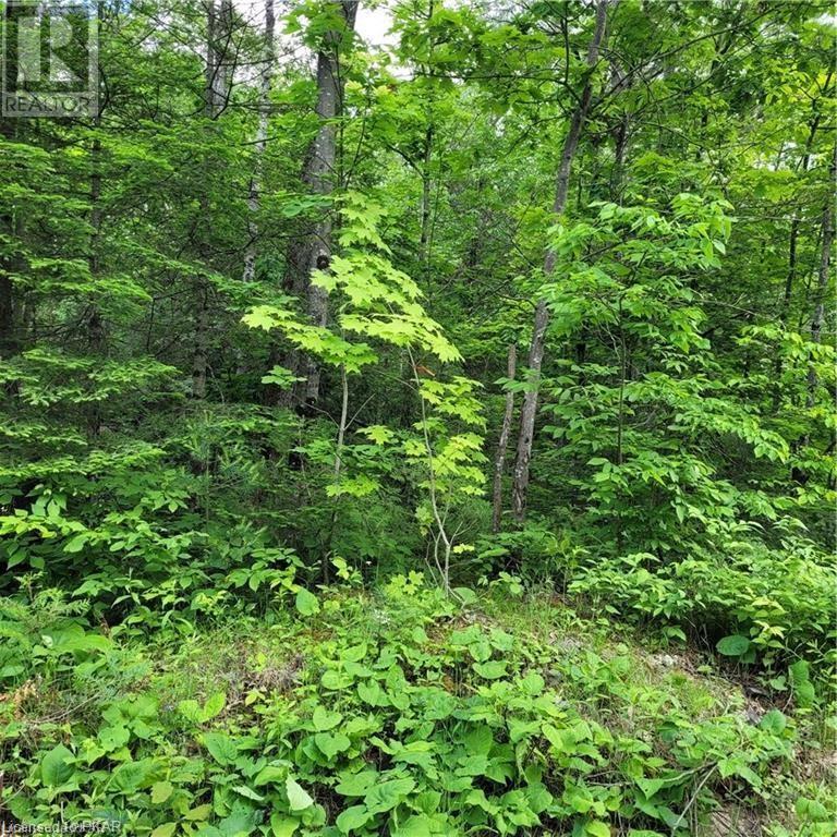 Listing 40413742 - Large Photo # 27