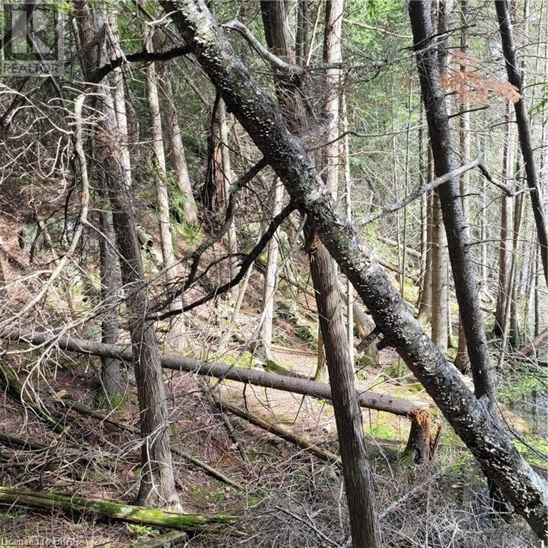 Listing 40413742 - Large Photo # 16