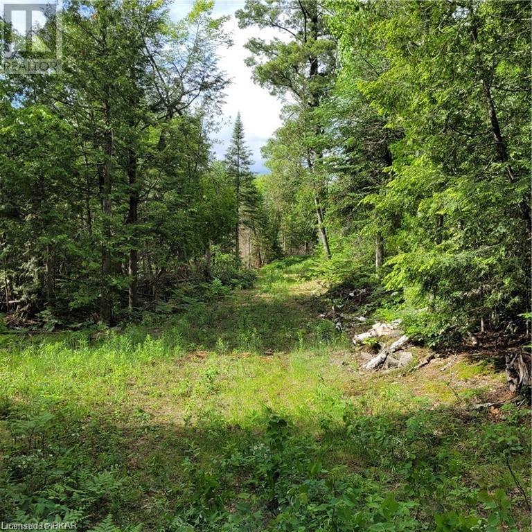 Listing 40413742 - Large Photo # 4