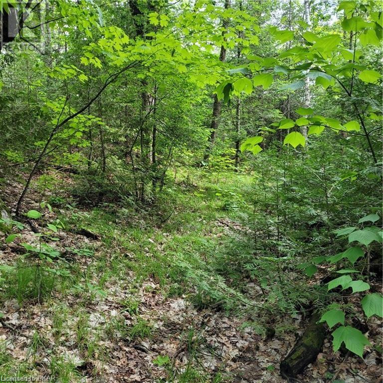 Listing 40413742 - Large Photo # 21