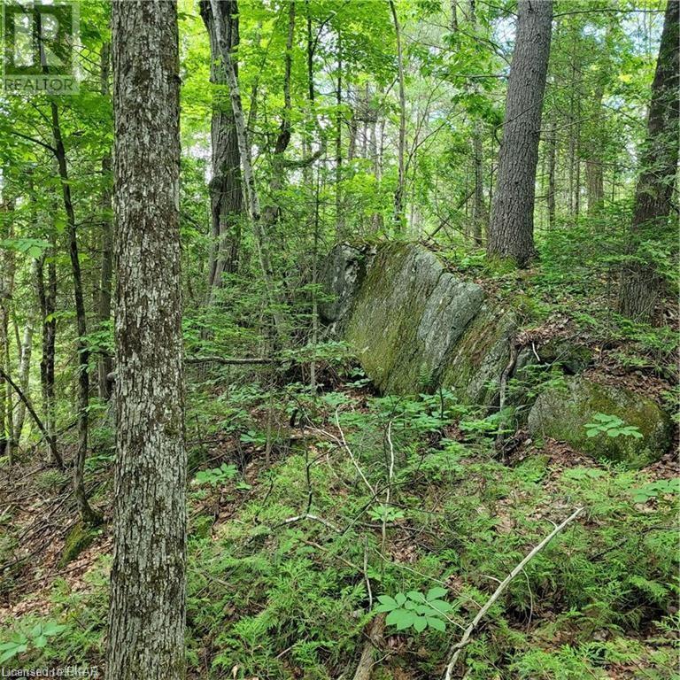 Listing 40413742 - Large Photo # 22