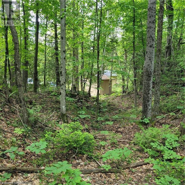 Listing 40413742 - Large Photo # 18