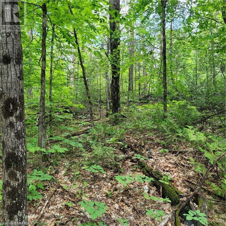 Listing 40413742 - Large Photo # 20
