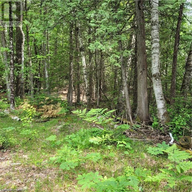 Listing 40413742 - Large Photo # 5