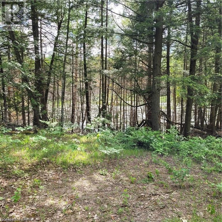 Listing 40413742 - Large Photo # 13