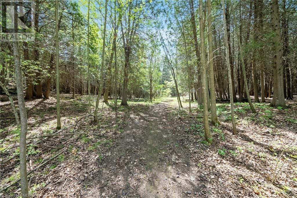 Listing 40414645 - Large Photo # 42