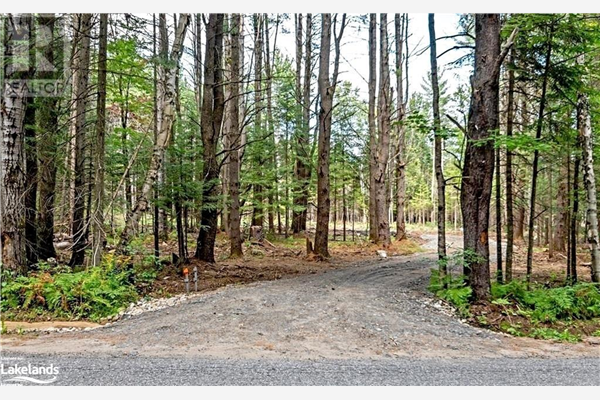 0 DWIGHT BEACH Road Unit# Lot 2, Dwight