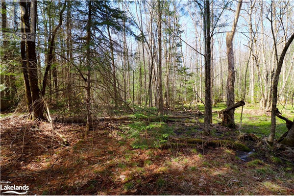 0 UNOPENED ROAD ALLOWANCE, Gravenhurst