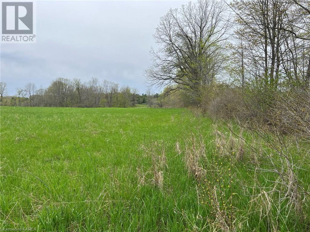 Listing 40414858 - Large Photo # 1