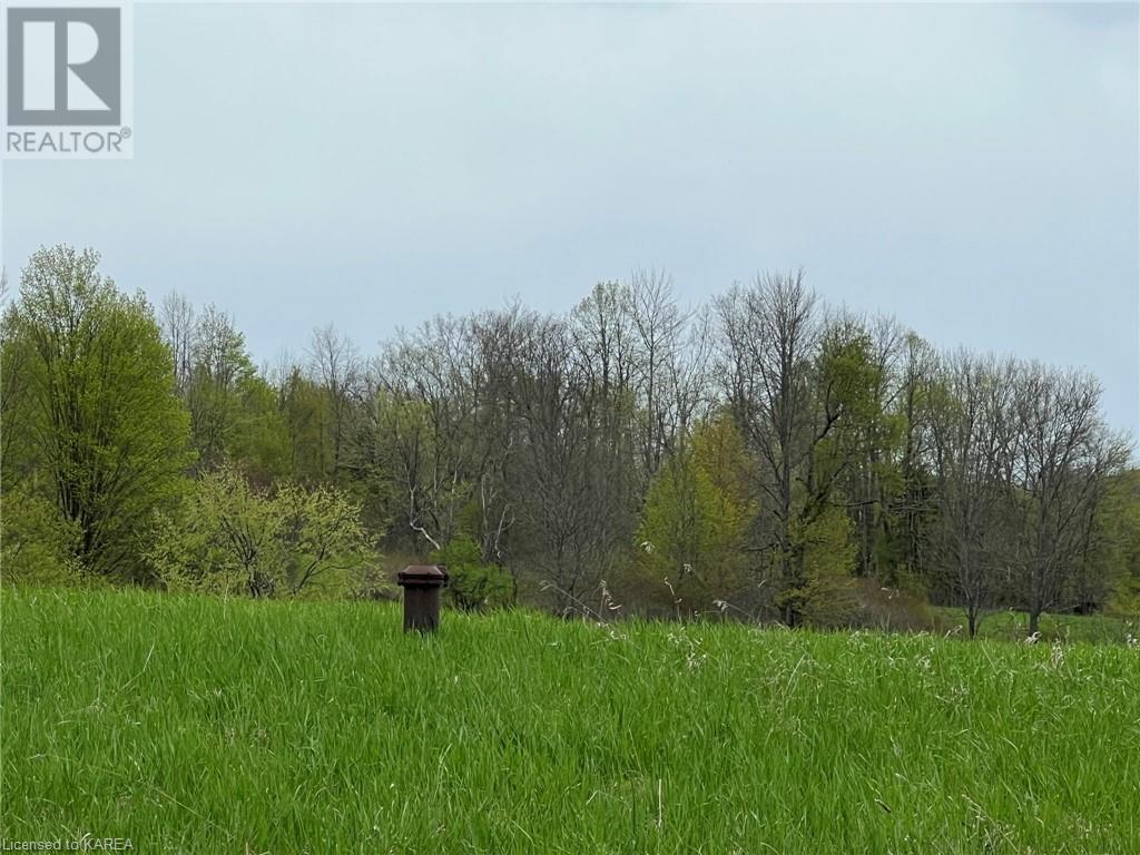 Listing 40414858 - Large Photo # 14