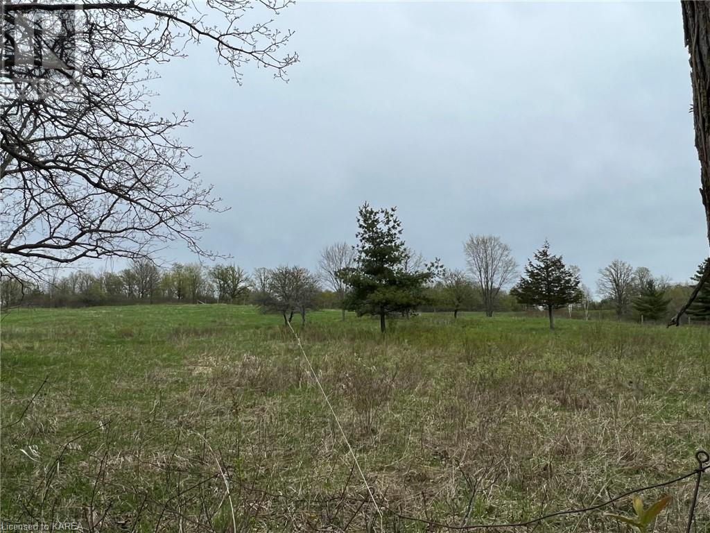 Listing 40414858 - Large Photo # 4