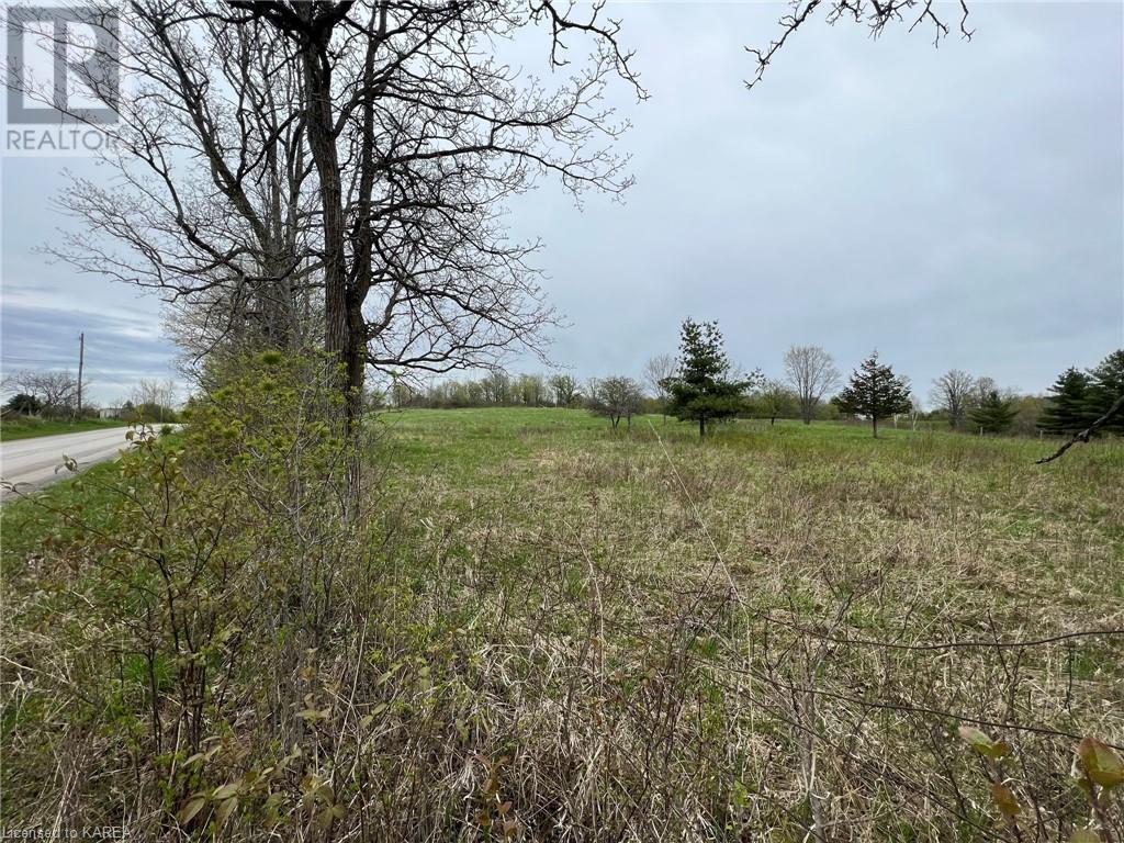 Listing 40414897 - Large Photo # 2