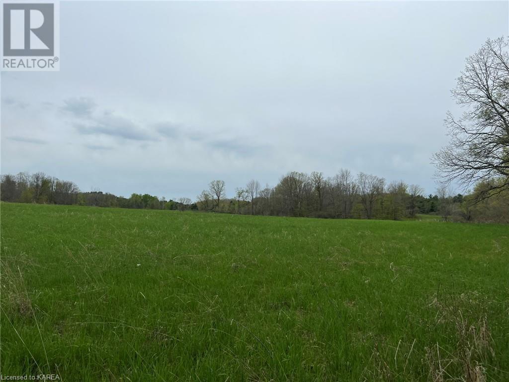 Listing 40414897 - Large Photo # 11