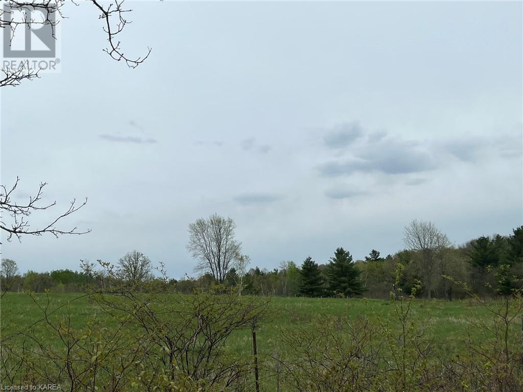 Listing 40414897 - Large Photo # 5