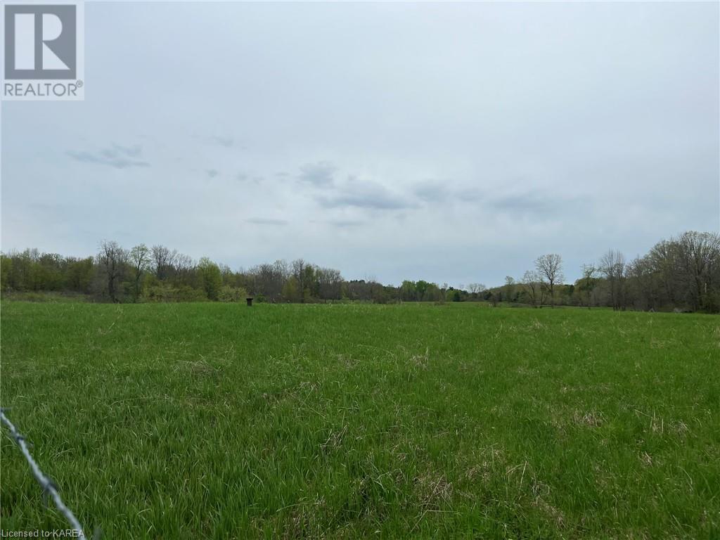 Listing 40414897 - Large Photo # 13