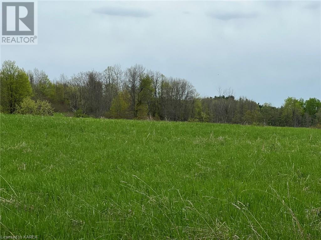 Listing 40414897 - Large Photo # 8