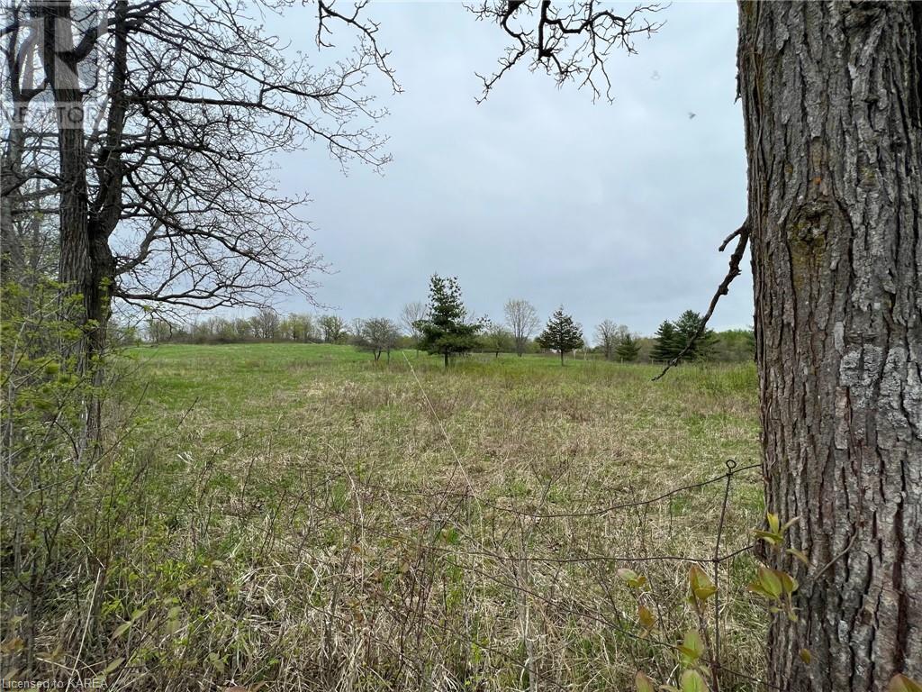 Listing 40414897 - Large Photo # 1