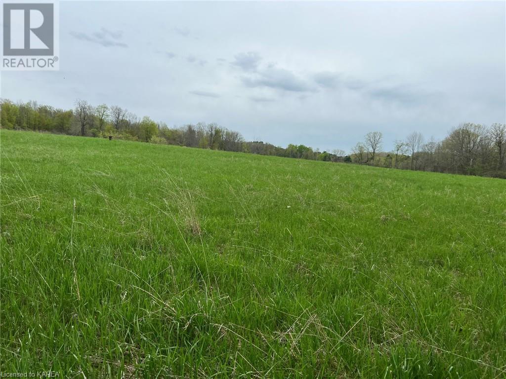 Listing 40414897 - Large Photo # 10