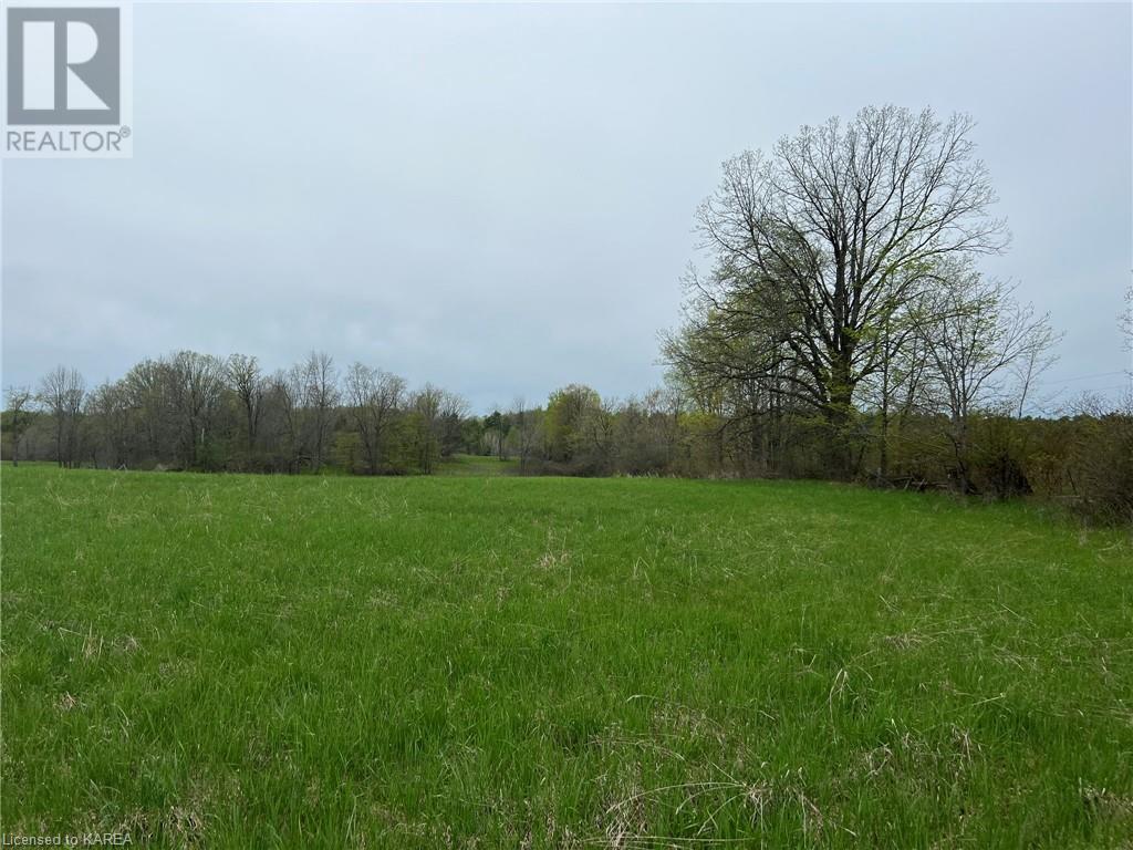 Listing 40414897 - Large Photo # 12