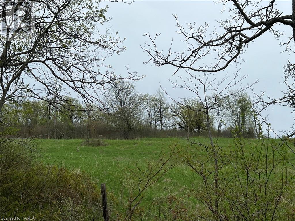 Listing 40414931 - Large Photo # 1